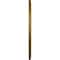 Ekena Millwork Anthony Ceiling Medallion (Fits Canopies up to 11 5/8"), 29 3/8"OD x 11 5/8"ID x 1 1/8"P, Gold CM29ATGLS - alternate 4
